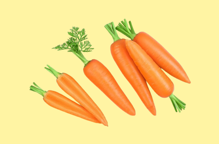 morcov pentru bebelusi